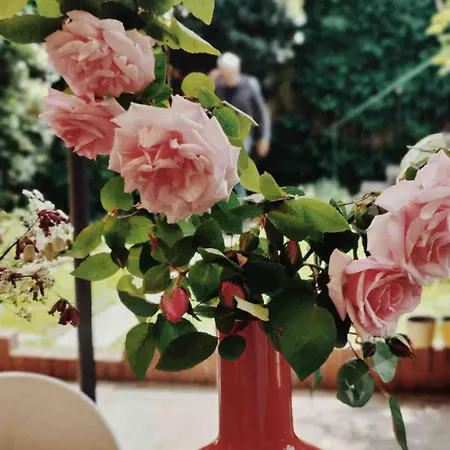 Casalago דירה דומאסו